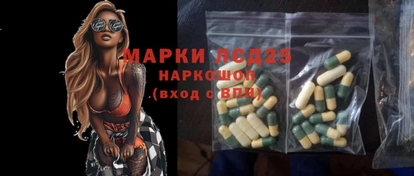 прущие грибы Пестово