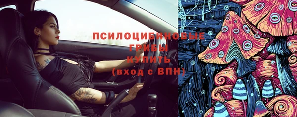 спайс Гвардейск