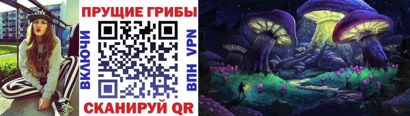 Псилоцибиновые грибы мицелий  купить наркотик  Сенгилей 